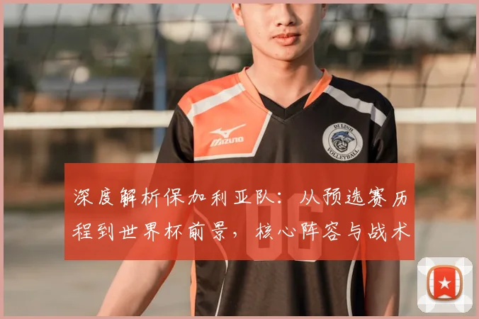 深度解析保加利亚队：从预选赛历程到世界杯前景，核心阵容与战术全预测